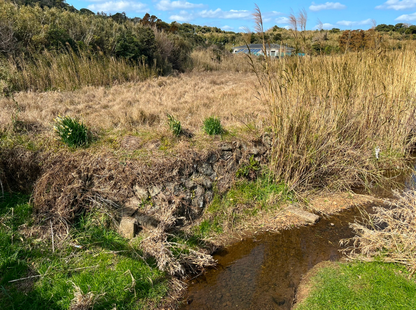 希少種が生息するポイントイメージ