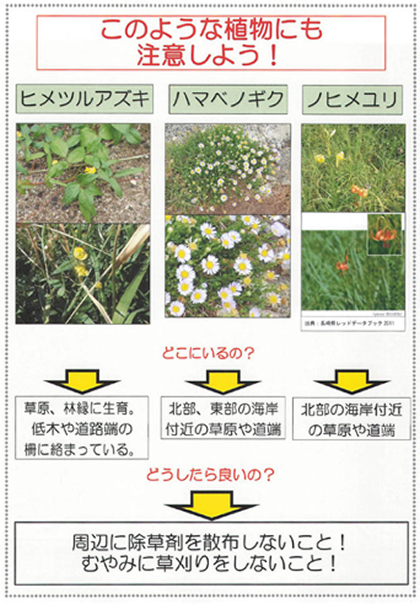 このような植物にも注意しよう！ヒメツルアヅキ ハマベノギク ノヒメユリ