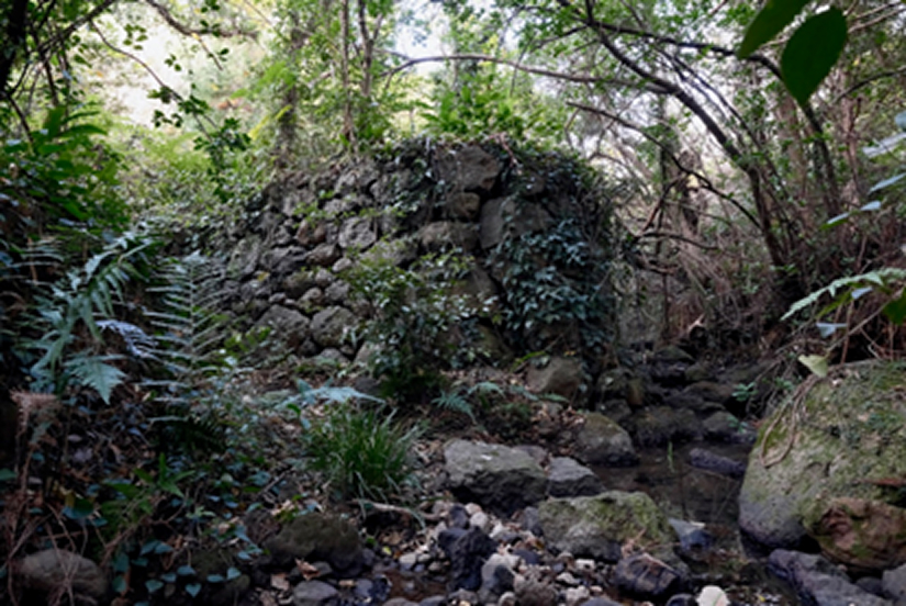 島内に残る古い石垣写真