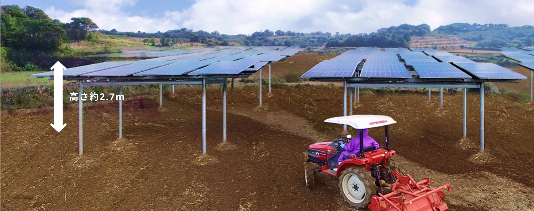 高さ 約2.7m